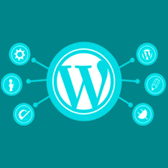 WordPress-Development