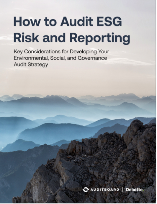 How-to-Audit-ESG-Risk-and-Reporting-Image
