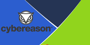 Cyberhaven, Cybereason and Aqua Security