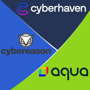 Cyberhaven, Cybereason and Aqua Security