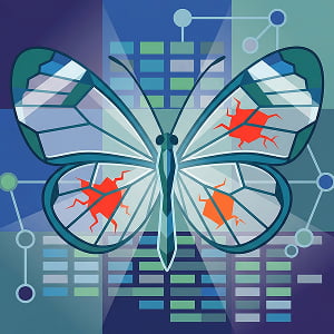 Illustration of a butterfly with glass wings, symbolic of Anthropic's Project Glasswing.